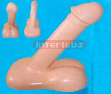 EXTRA HEALTH HUMAN MALE GENITAL ORGANS DEMONSTRATION MODEL